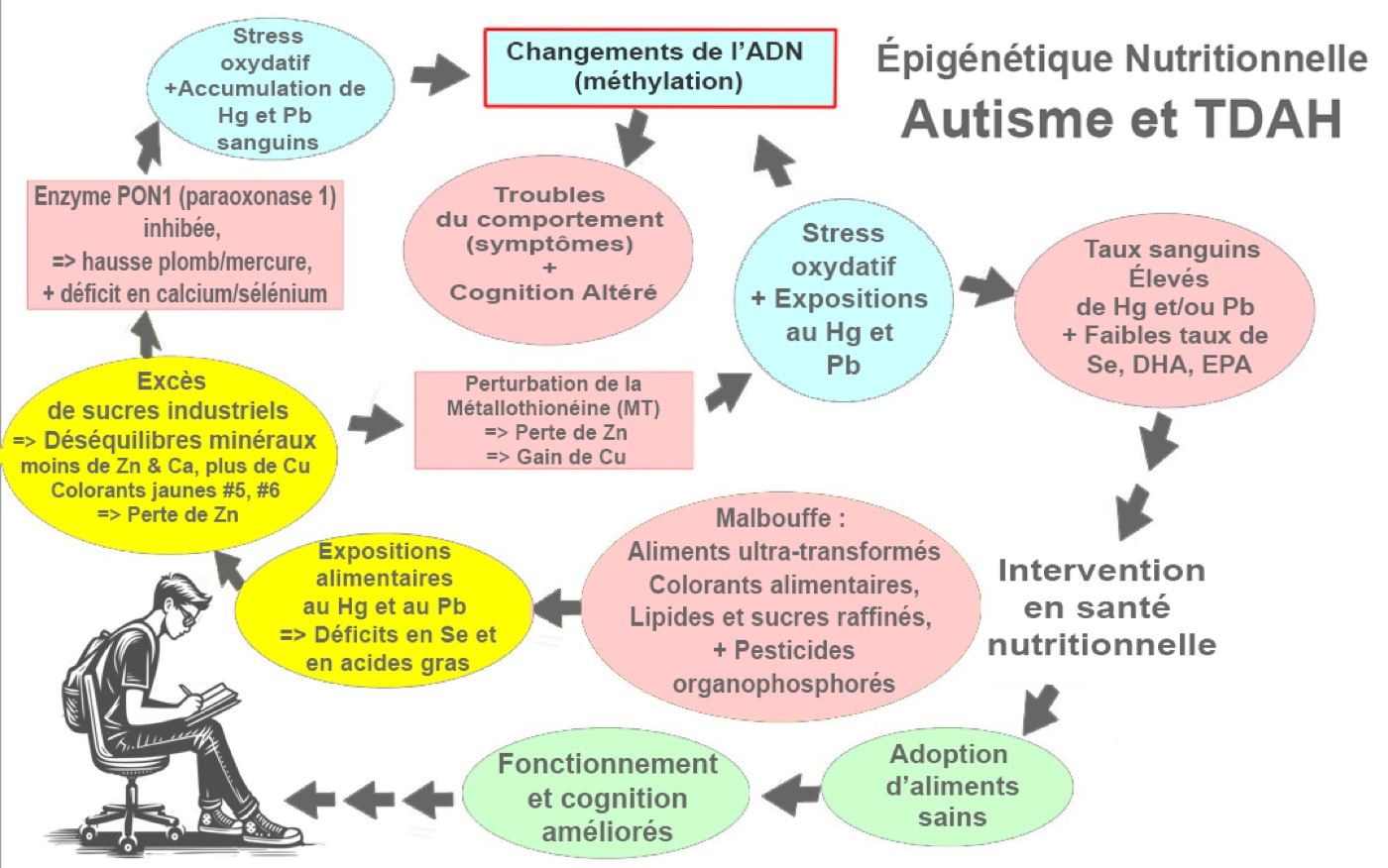 Nutrition & Santé logo