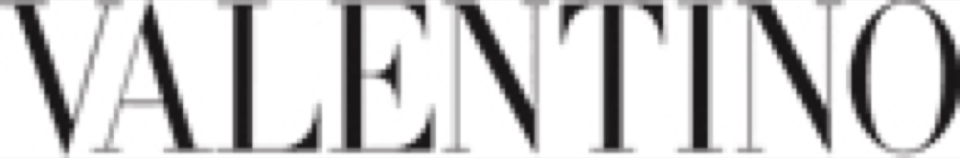 Valentino Beauty logo